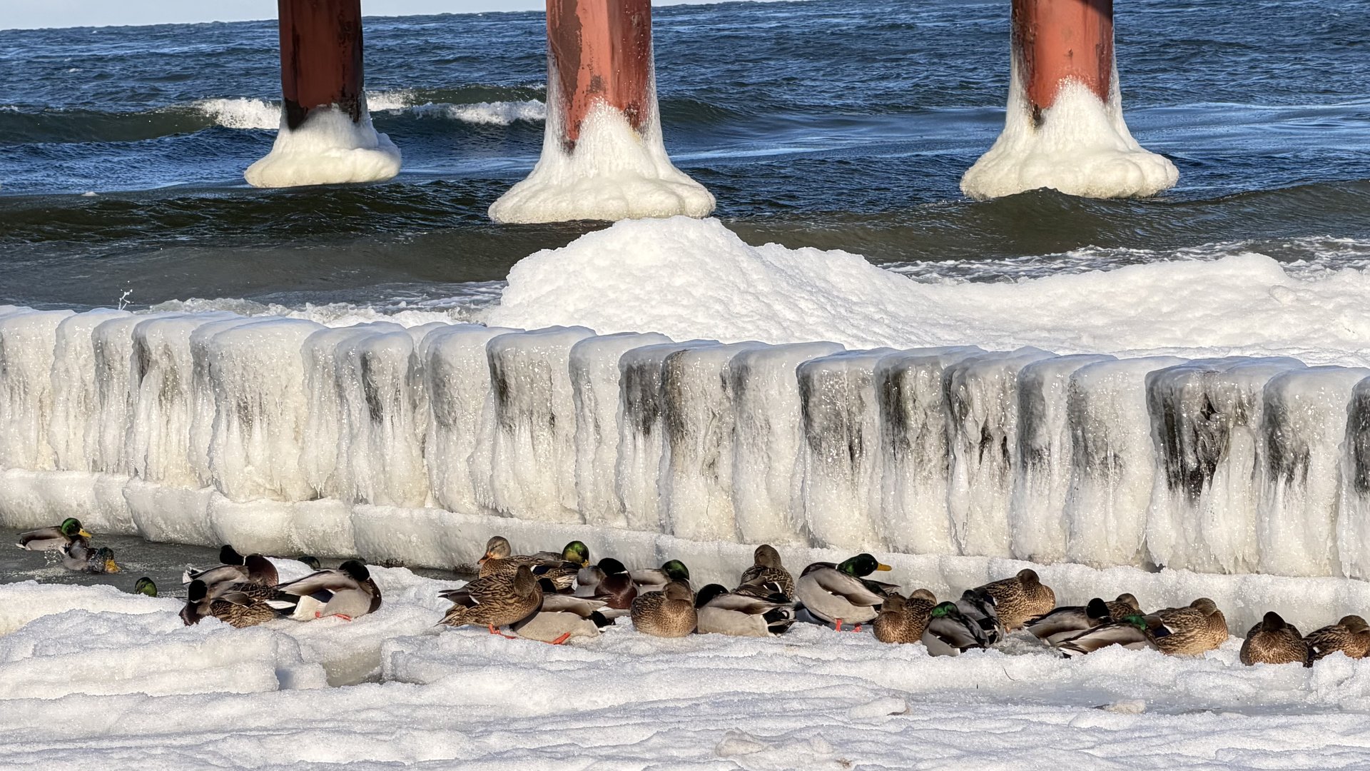 Zingst – Fischland-Darß-Zingst